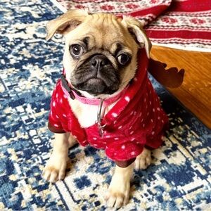 Cozy Dog Reindeer Pajamas - XS